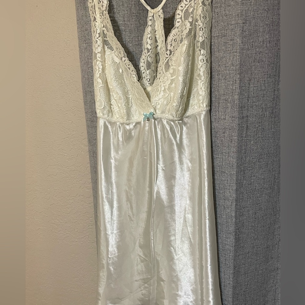 EUC Flora by Flora Nikrooz Chemise in Small